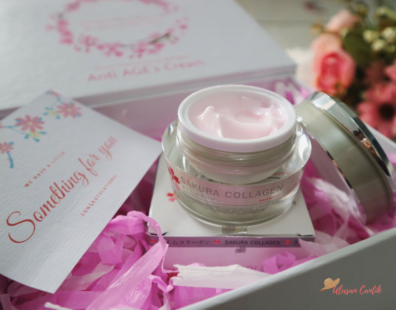 Review Sakura Collagen Anti Age’s Cream yang Mengandung Ekstrak Bunga Sakura